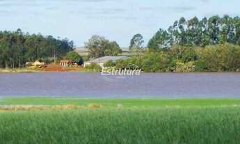 Imagem: Ótima área rural com 145 hectares