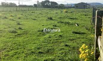 Imagem 3: Ótima chácara a venda a caminho de São Pedro do Sul