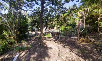 Imagem 6: Excelente terreno ao lado de avenida principal da cidade com 1000 m²