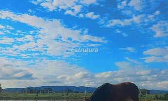 Imagem 7: Ótima chácara a venda a caminho de São Pedro do Sul