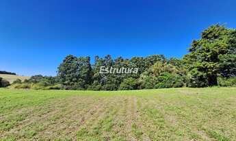 Imagem 4: Chácara em Silveira Martins de 1 Hectare