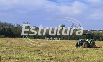 Imagem 2: Amplo terreno no bairro Diácono João Luiz Pozzobon