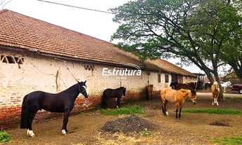 Imagem: Chácara em zona urbana com infraestrutura