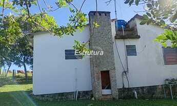 Imagem 3: ???? Chácara de 16.500 m² na Beira do Asfalto com Casa, Galpão e Pomar!