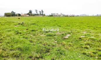 Imagem: Terreno rural de 2 hectares