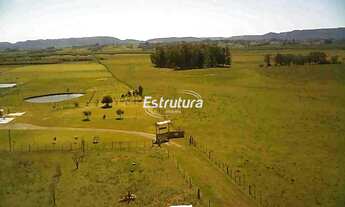 Imagem 4: Ótima chácara a venda a caminho de São Pedro do Sul