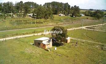 Imagem 6: Ótima chácara a venda a caminho de São Pedro do Sul