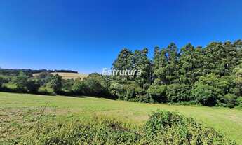 Imagem 6: Chácara em Silveira Martins de 1 Hectare