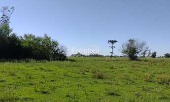 Imagem 2: TERRENO PRÓXIMO A UFSM