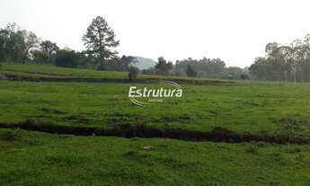 Imagem: Uma excelente chácara no interior de São