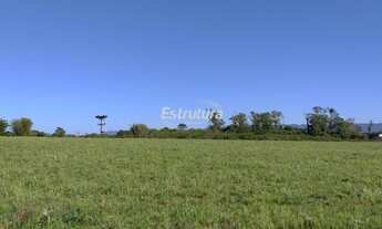 Imagem: TERRENO PRÓXIMO A UFSM