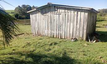 Imagem 6: ???? Chácara de 16.500 m² na Beira do Asfalto com Casa, Galpão e Pomar!