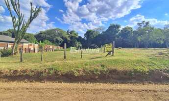 Imagem 2: Oportunidade: Terreno à Venda no Bairro Cerrito