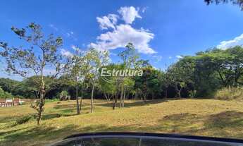 Imagem 6: Oportunidade: Terreno à Venda no Bairro Cerrito