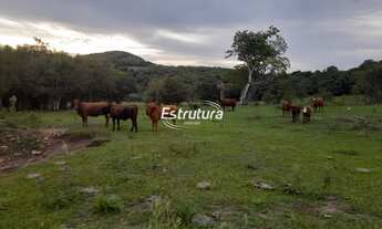 Imagem: Uma excelente chácara no interior de São
