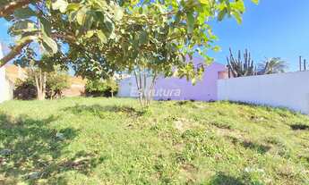 Imagem 5: Terreno de 325m² ótima localização Novo Horizonte