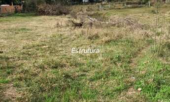Imagem 4: Terreno com ótima localização no Boi Morte - 2 quadras da BR 158