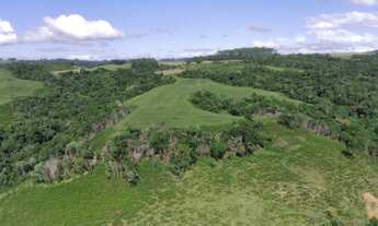 Imagem 5: Fazenda à Venda 92 hectares com Dupla Apitdão em Leoberto Leal SC