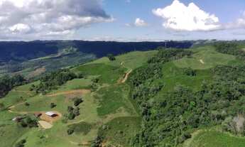 Imagem 3: Fazenda à Venda 92 hectares com Dupla Apitdão em Leoberto Leal SC