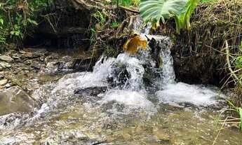 Imagem 2: Sítio à Venda 23 hectares com Casa em Agrolândia Santa Catarina