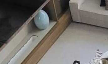 Imagem: Apartamento de 336m² Semimobiliado com