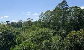 Imagem 4: Terreno de 250m² à Venda – Condomínio Quintas do Ingaí