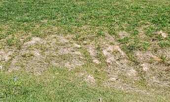 Imagem: Terreno de 420m² à Venda  420 m²