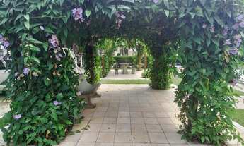 Imagem 6: Apartamento de 45m² com 2 quartos e 1 wc social em Messejana