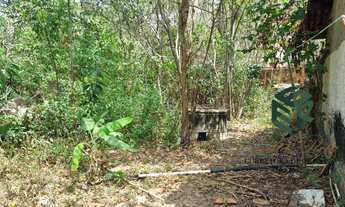 Imagem 5: Imóvel comercial prox restaurante Beijamim Camará