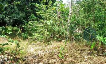 Imagem 4: Imóvel comercial prox restaurante Beijamim Camará