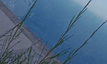 Imagem 3: CONDOMINIO ABSOLUTO, Condomínio de Casas Duplex com 3 quartos, 2 suítes e 2 vaga