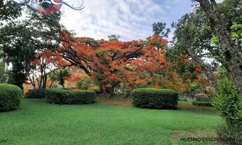 Imagem: Terreno 5000m² Venda - Chácara Malota