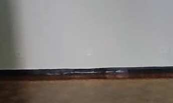 Imagem: Apartamento para Alugar no Bairro Centro