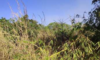 Imagem 6: Chácara com 6.560 m² e casa simples de 120 m² – R$ 950.000,00