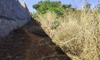 Imagem 4: Chácara com 6.560 m² e casa simples de 120 m² – R$ 950.000,00