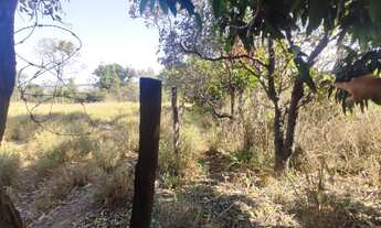 Imagem 5: Chácara com 6.560 m² e casa simples de 120 m² – R$ 950.000,00