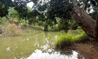Imagem 3: Chácara com duas casas, pomar e criatório de peixes em área ampla
