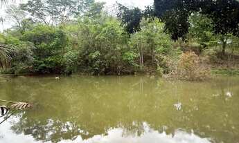 Imagem 2: Chácara com duas casas, pomar e criatório de peixes em área ampla