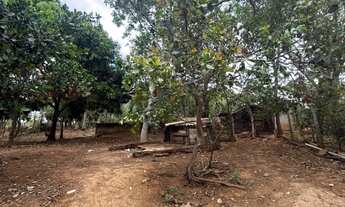 Imagem 6: Chácara com duas casas, pomar e criatório de peixes em área ampla