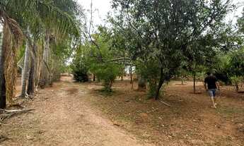 Imagem 4: Chácara com duas casas, pomar e criatório de peixes em área ampla