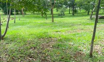 Imagem 2: Lote Residencial jardins porto