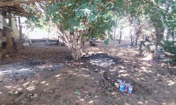 Imagem 2: Chácara com 6.560 m² e casa simples de 120 m² – R$ 950.000,00