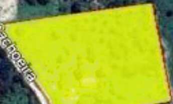 Imagem: TE8180) - TERRENO 20.000m² - Eusébio