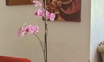 Imagem 4: Apartamento 3 Quartos à Venda no Campo Comprido – R$ 290.000