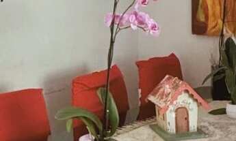 Imagem 3: Apartamento 3 Quartos à Venda no Campo Comprido – R$ 290.000