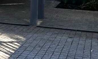 Imagem 4: Casa com 3 Quartos, sendo 2 suítes, peças amplas em Rua Tranquila no Cristo Rei