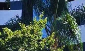 Imagem: Apartamento 2 dormitórios à venda Bigorrilho