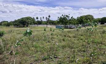 Imagem 3: Terreno 39.000 m²