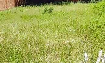 Imagem: Lote 390m2 a venda no Paracuru 13m frente