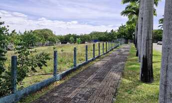 Imagem 2: Terreno 39.000 m²
